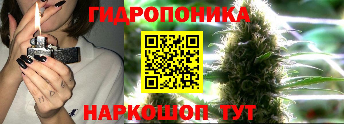 Шадринск  Бошки марихуана SATIVA & INDICA  Вход с VPN  Бошки Шишки план  Канабис сатива  МАРИХУАНА MAZAR 